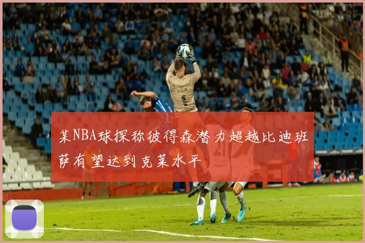 某NBA球探称彼得森潜力超越比迪班萨有望达到克莱水平